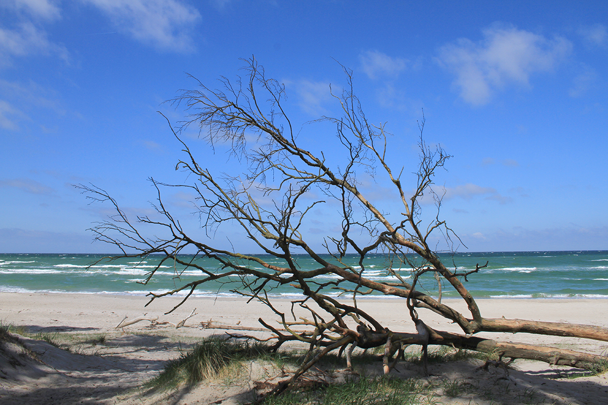 Ostseeurlaub Ferienwohnung Weststrand