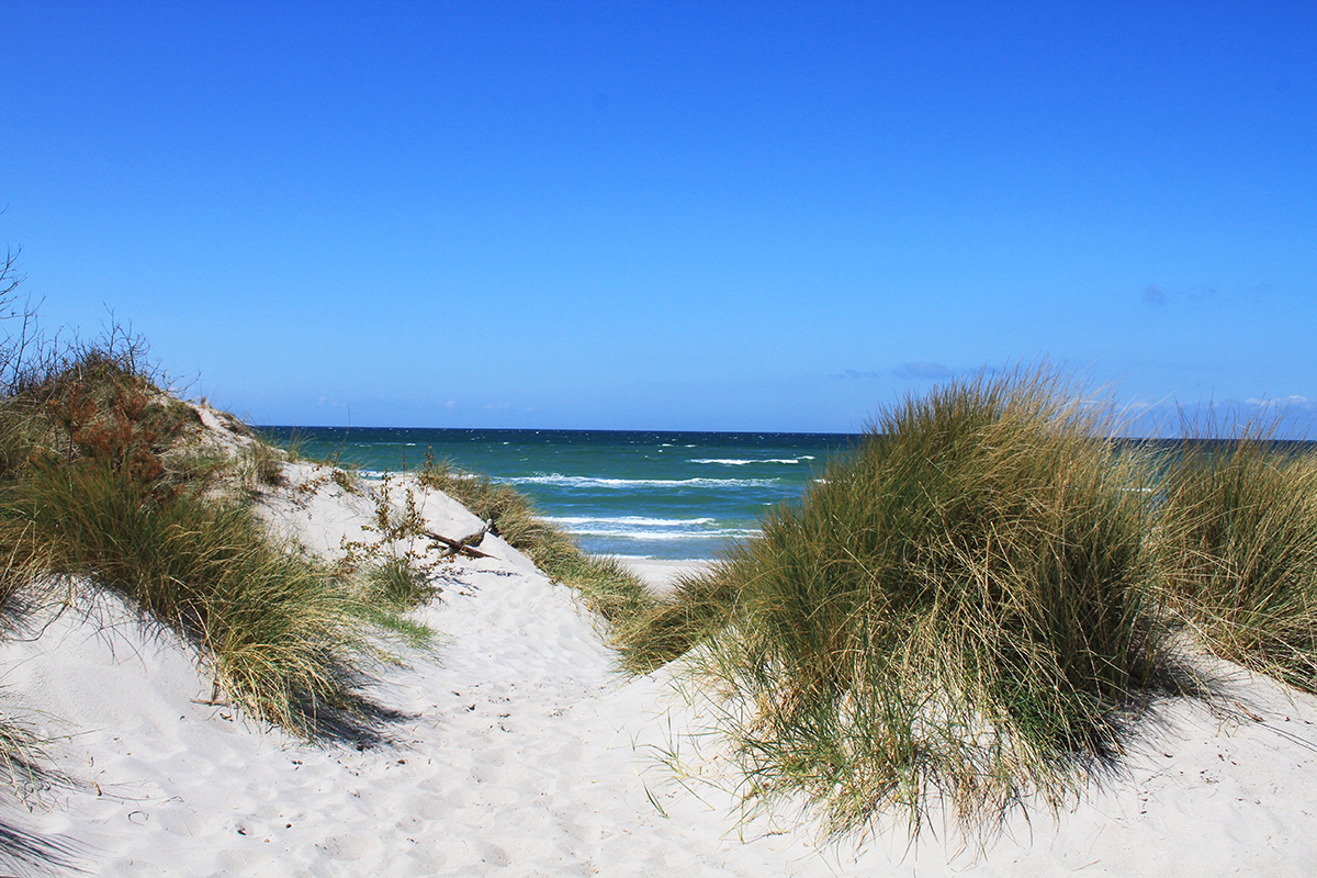 moderne Ferienwohnung Ostseenähe