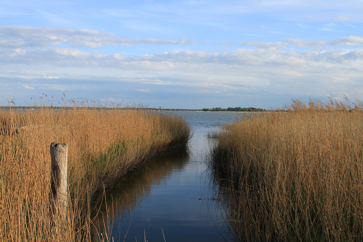 Ferienwohnung am Bodden